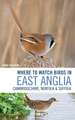 Where to Watch Birds in East Anglia: Cambridgeshire, Norfolk and Suffolk