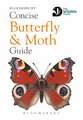 Concise Butterfly and Moth Guide