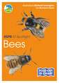 RSPB ID Spotlight - Bees