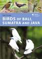 Birds of Bali, Sumatra and Java