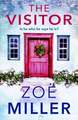 The Visitor: a twisty, suspenseful page-turner