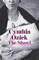 Ozick, C: Shawl