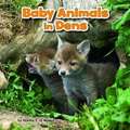 Baby Animals and Their Homes Pack A of 4