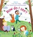 Daynes, K: First Questions and Answers: How do I see?