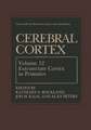 Cerebral Cortex: Volume 12: Extrastriate Cortex in Primates