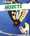 Insects