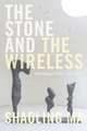 The Stone and the Wireless – Mediating China, 1861–1906