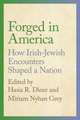 Forged in America – How Irish–Jewish Encounters Shaped a Nation