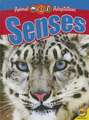 Senses