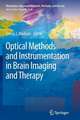 Optical Methods and Instrumentation in Brain Imaging and Therapy