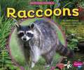 Raccoons