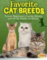 Favorite Cat Breeds: Persians, Abyssinians, Siamese, Sphynx, and All the Breeds In-Between