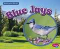 Blue Jays