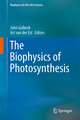 The Biophysics of Photosynthesis