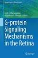 G Protein Signaling Mechanisms in the Retina