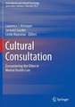 Cultural Consultation: Encountering the Other in Mental Health Care