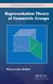 Representation Theory of Symmetric Groups