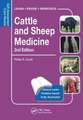 Cattle and Sheep Medicine: Self-Assessment Color Review