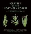 Grasses of the Northern Forest – A Photographic Guide