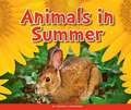 Animals in Summer