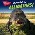 Watch Out for Alligators!