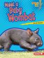 Meet a Baby Wombat Meet a Baby Wombat