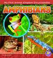 Amphibians