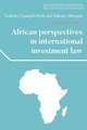 African Perspectives in International Investment Law