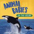 Animal Babies: In the Ocean