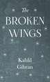 Broken Wings