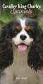 CAVALIER KING CHARLES SPANIELS SLIM DIAR