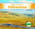 Parque Nacional de Yellowstone (Yellowstone National Park)