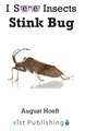 Stink Bug