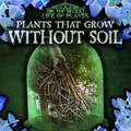 Plants That Grow Without Soil