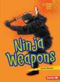 Ninja Weapons