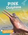 Pink Dolphins