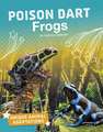 Poison Dart Frogs