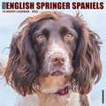 ENGLISH SPRINGER SPANIELS 2022 WALL CALE