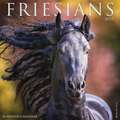 FRIESIANS 2022 WALL CALENDAR