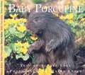 Baby Porcupine