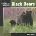 Black Bear