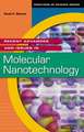 Recent Advances and Issues in Molecular Nanotechnology