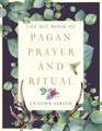 The Big Book of Pagan Prayer and Ritual