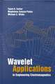 Wavelet Applications in Engineering Electro- Magnetics