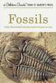 Fossils