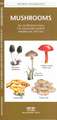 Mushrooms: An Introduction to Familiar North American Species