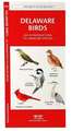 Delaware Birds: A Folding Pocket Guide to Familiar Species