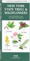 New York State Trees & Wildflowers: A Folding Pocket Guide to Familiar Species