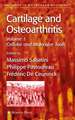 Cartilage and Osteoarthritis