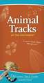 Animal Tracks of the Southwest